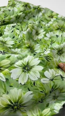 Rs 2400 Raabi Doria linen same printed 2p